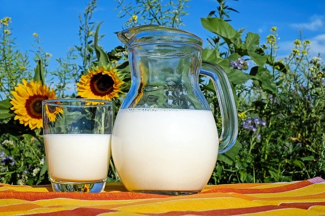 Makronährstoffe und ihre Funktion im Körper milk 2474993 640