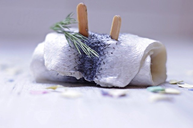 Makronährstoffe und ihre Funktion im Körper roll mops 4028046 640