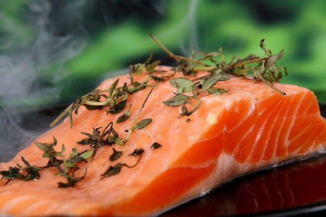 Makronährstoffe und ihre Funktion im Körper salmon 1238248 640