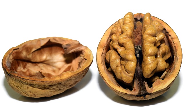 Startseite walnut g0bc4e1de9 640