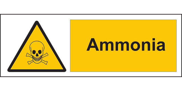 Makronährstoffe und ihre Funktion im Körper ammoniak