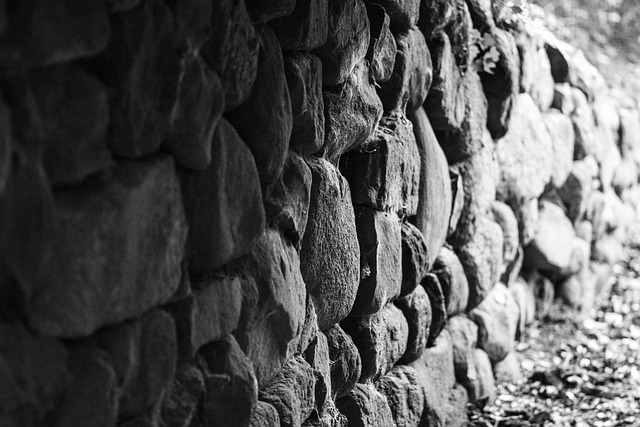 Ballaststoffe und Mikrobiom mauer