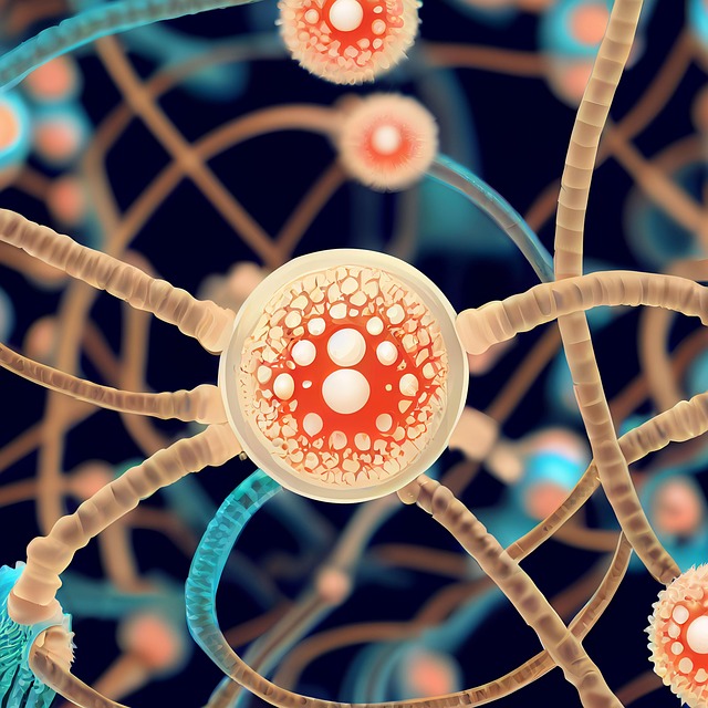 Regulation durch Hormone & Nervensystem nerven